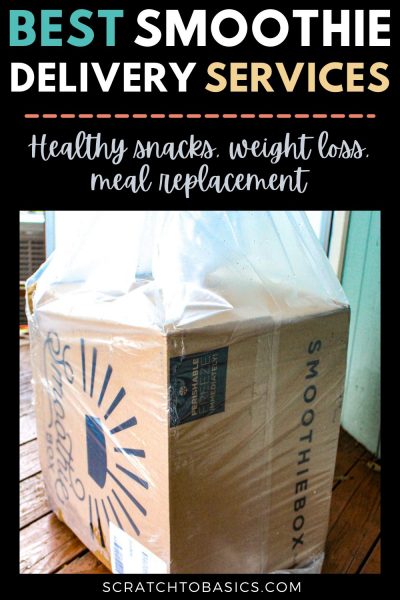 Best smoothie delivery services - healthy snacks, weight loss, meal replacement.