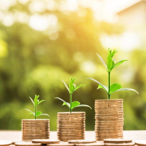 plants on stacks of coins