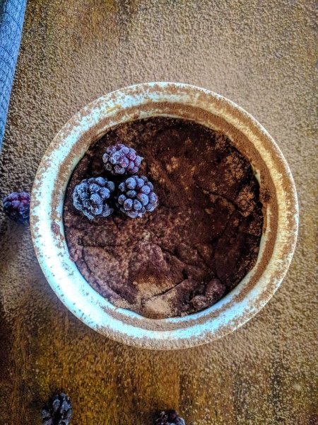 Personal brownie in ramekin. With blackberries on top.