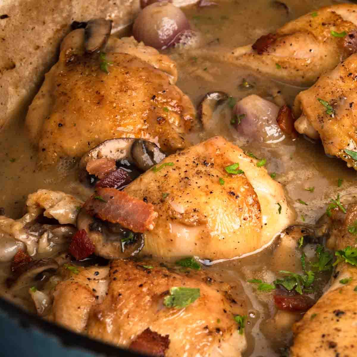 cooked chicken in thick broth/sauce topped with herbs