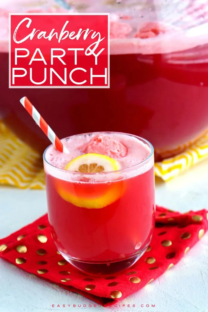 cranberry party punch with a slice of lemon and festive straw in a glass
