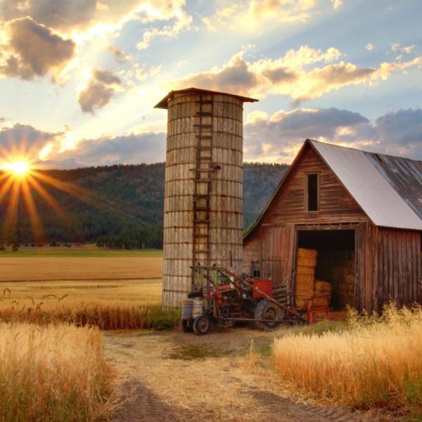 Sunrise over a farm