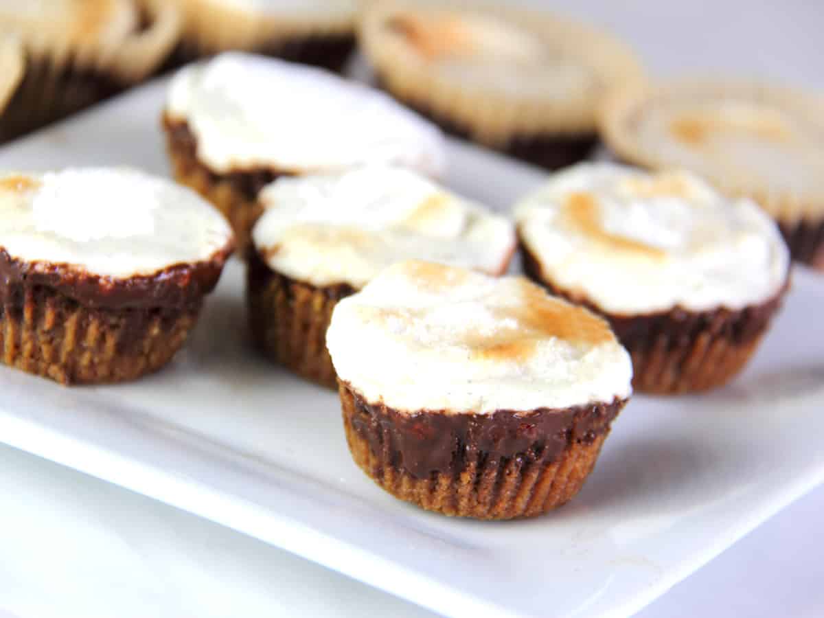 gluten free dairy free smore bites