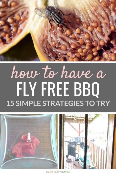 15 Extremely Easy Ways To Keep Flies Away From Your Food 15-extremely-easy-ways-to-keep-flies-away-from-your-food