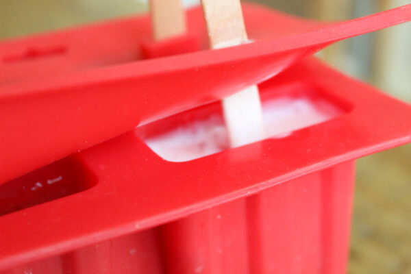 real fruit puree in popsicle mold with lid on and sticks in slots