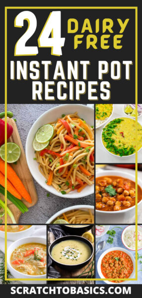 24 dairy free instant pot recipes