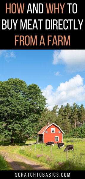 buying meat from a farm - how to do it