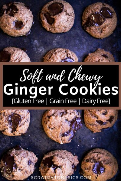 baked ginger cookies with chocolates
