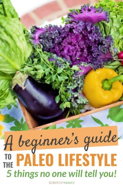 paleo diet for beginner - rules and tips