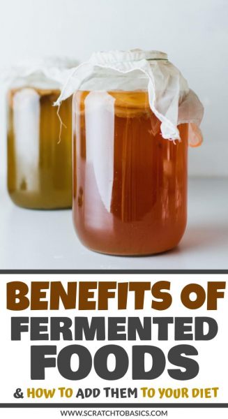 Benefits of fermented foods