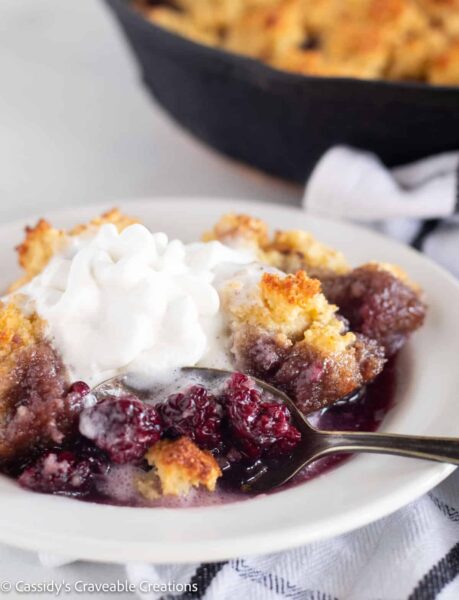 Berry cobbler in a dish