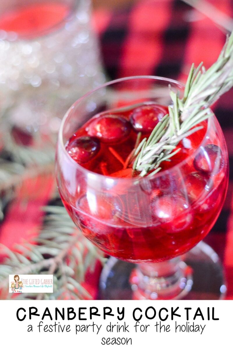 up close image of red cranberry cocktail with whole cranberry fruits and leaf in a cocktail glass