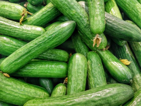 you can freeze cucumbers