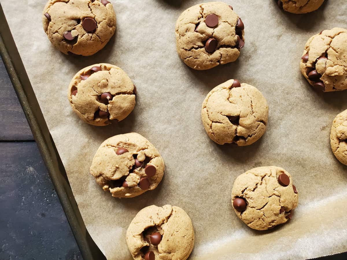 finished chocolate chips cookies on a tray