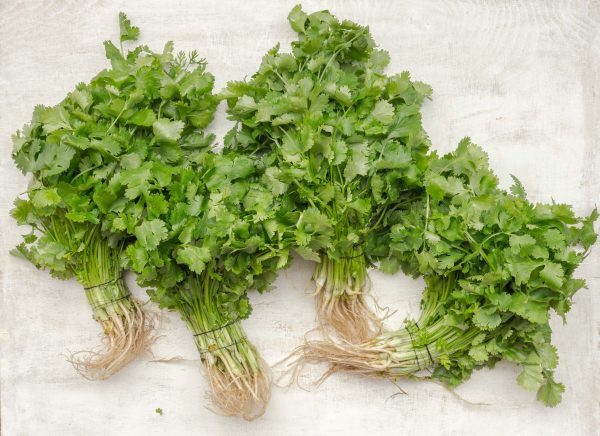 you can freeze fresh herbs