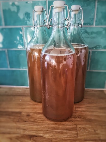 Bottled kombucha (shown here) is a fermented tea drink.