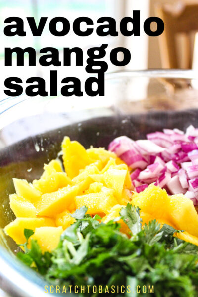 mango avocado salad close up