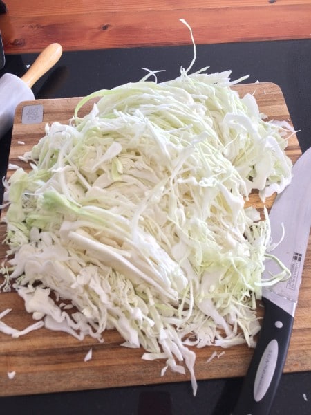 Sauerkraut is made of shredded cabbage.